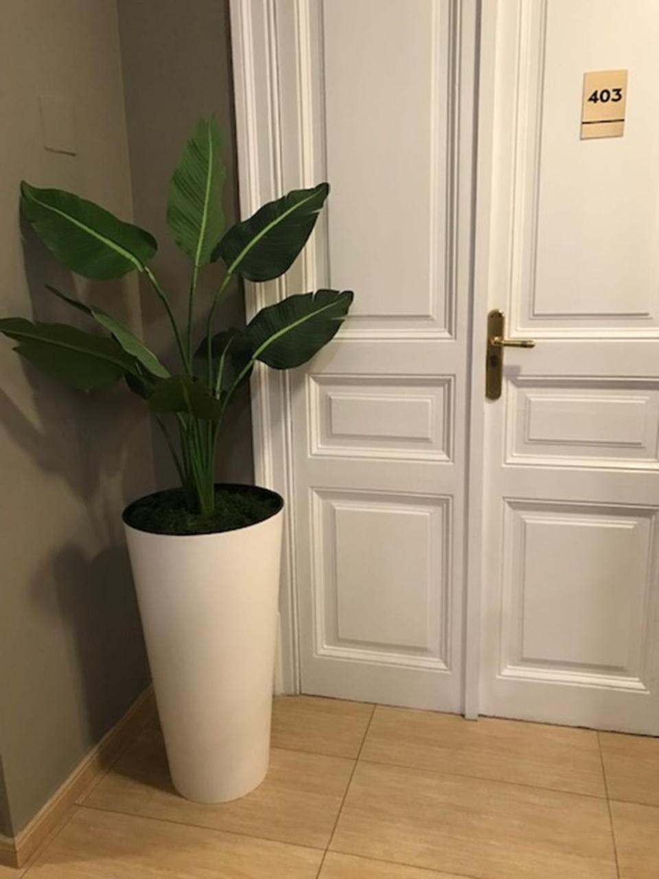 ברצלונה Hotel Aneto מראה חיצוני תמונה